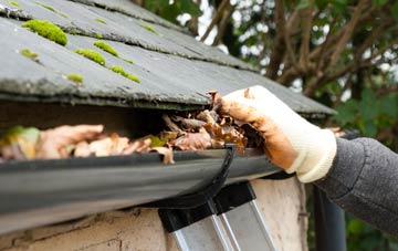 gutter cleaning Blue Vein, Wiltshire