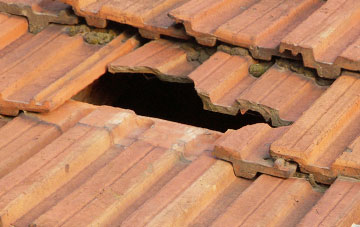 roof repair Blue Vein, Wiltshire